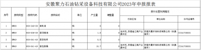 安徽聚力石油钻采设备科技有限公司_2023_申报报表